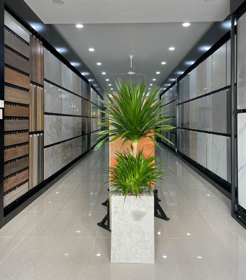 Showroom TAPU HOME 1